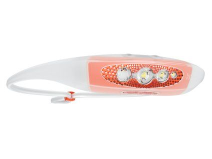 bezecka celovka knog bilby run o