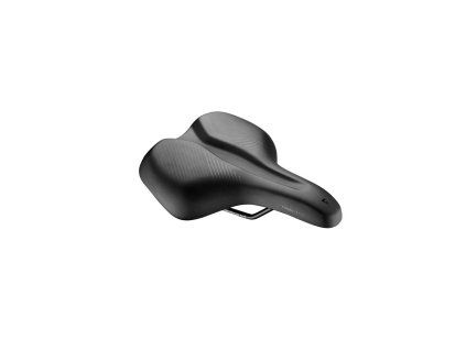 289659 giant connect city saddle