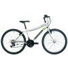 Kolo Kenzel Compact RF24 boy 2024 (Barva šedá, Velikost rámu 38 cm, Průměr kol 24”)