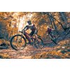 sada blatniku sks blade 26 27 5 2 o